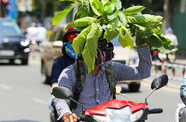 Tia cực tím tại Sài Gòn đang ở mức 'cực kỳ nguy hại cho da'