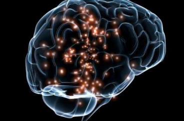 Nghiên cứu mới lại khẳng định não người già vẫn sản xuất nơ-ron thần kinh